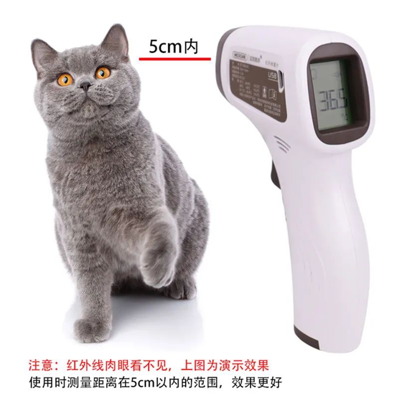 비접촉식 전자 체온계, 수의학 장비, 반려견용 적외선  - Instant Read Thermometer 리뷰 및 가격