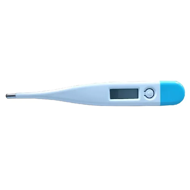 디지털 물온도계 정확한 구강 및 겨드랑이 온도 측정 발 - Instant Read Thermometer 리뷰 및 가격